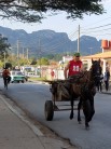 Common mode of transportation in Vinales